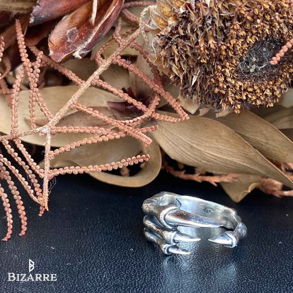 Bizarre/ビザール アーケオプテリクス 始祖鳥 鉤爪 シルバーリング SRP093SV