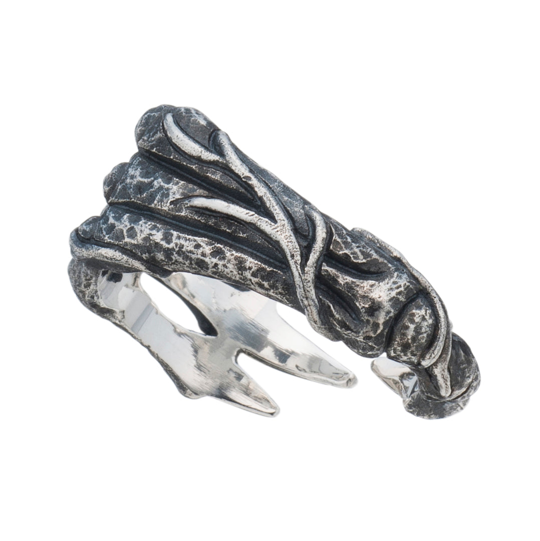 Bizarre/ビザール アーケオプテリクスルート始祖鳥 鉤爪 シルバーリング メンズ SRP094SV