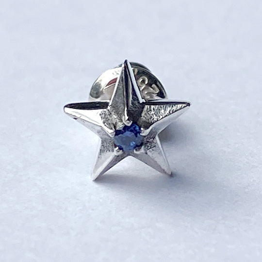 Bizarre/ビザール 【限定販売商品】スターリーシルバーピアス(1個売り) GSPJ088